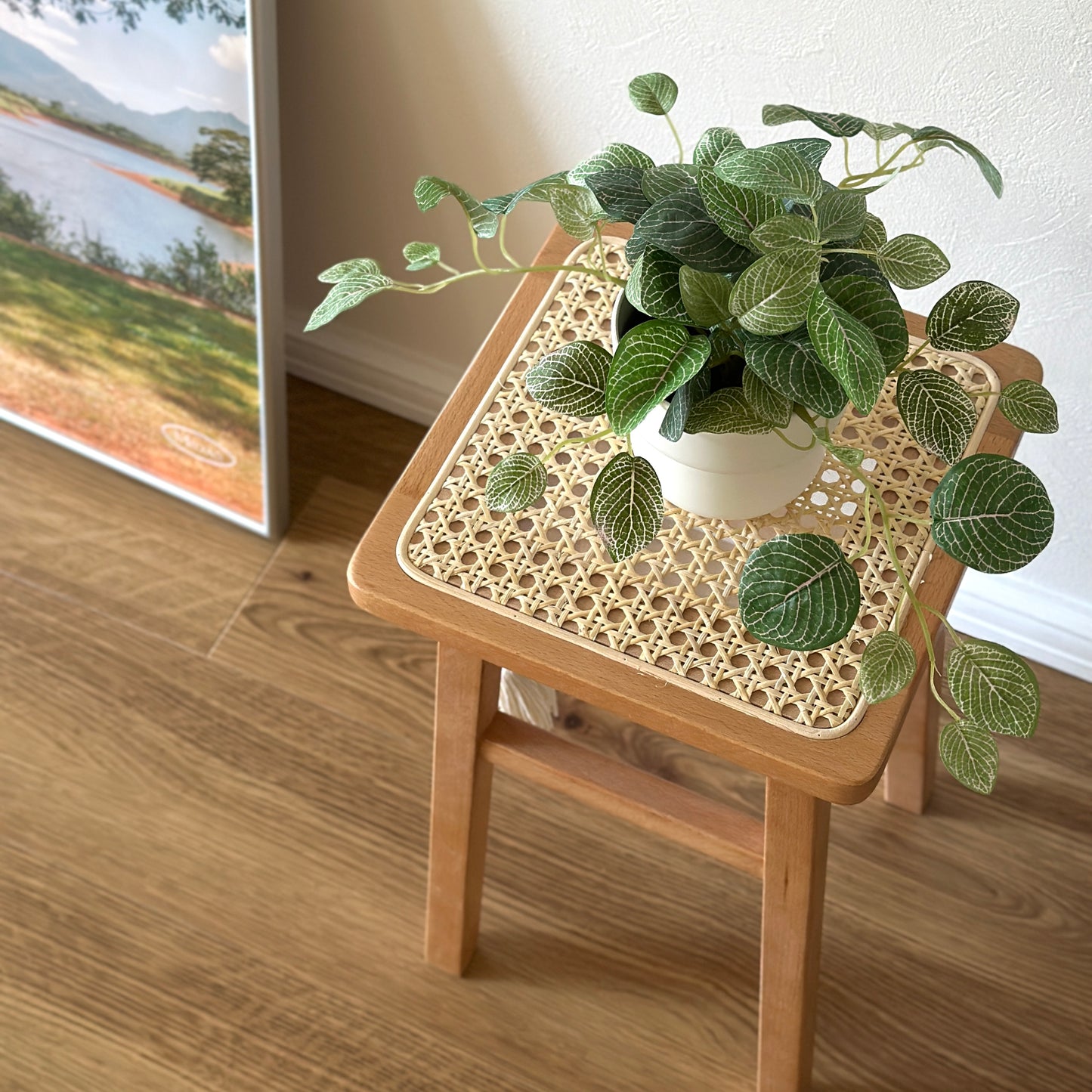 ラタン製のコンパクトなスクエアスツールに植物が飾られている様子