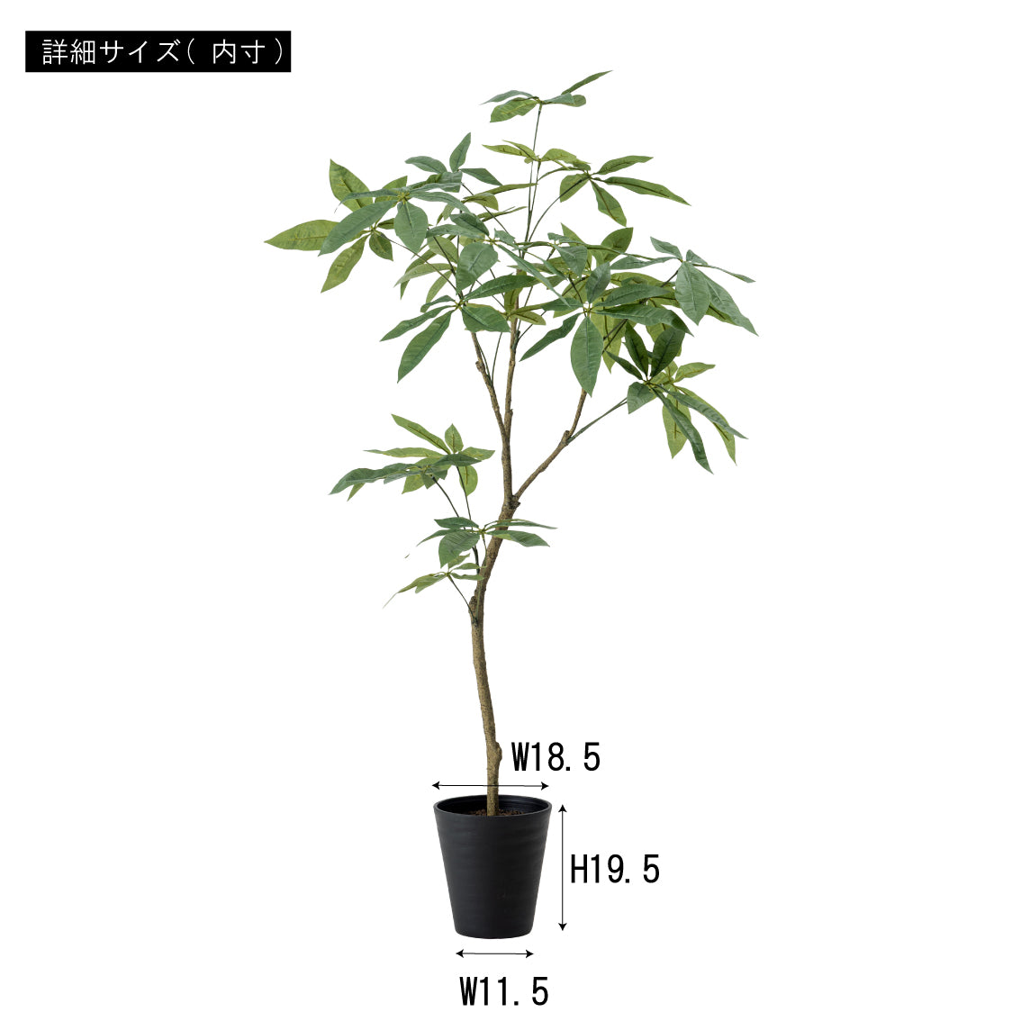 フェイクグリーンのパキラ。黒のスリムな鉢に入った人工の緑の植物。