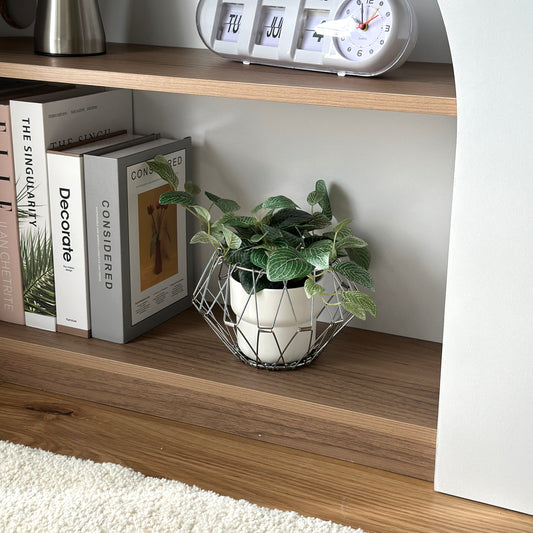 シルバーのワイヤーバスケットに植物が入っている様子