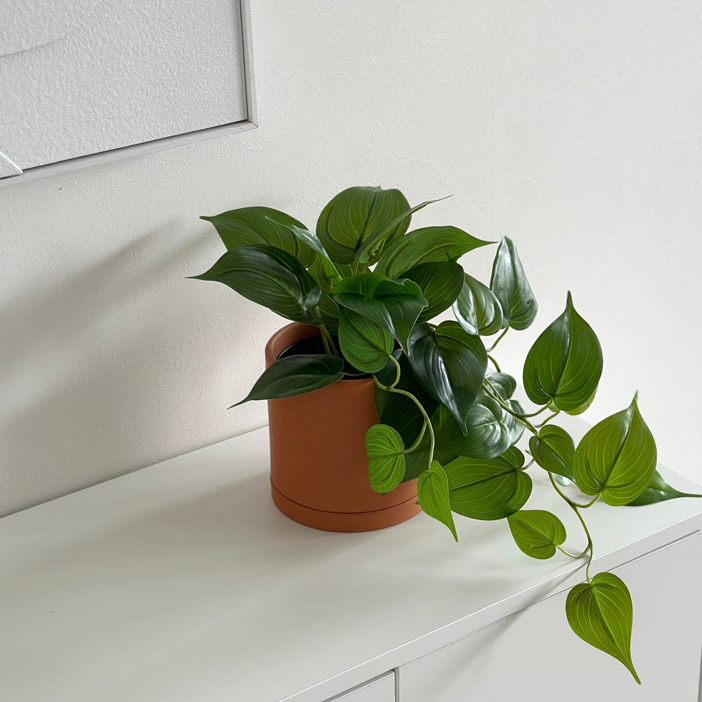 レンガ色のポットに植物が飾られている様子