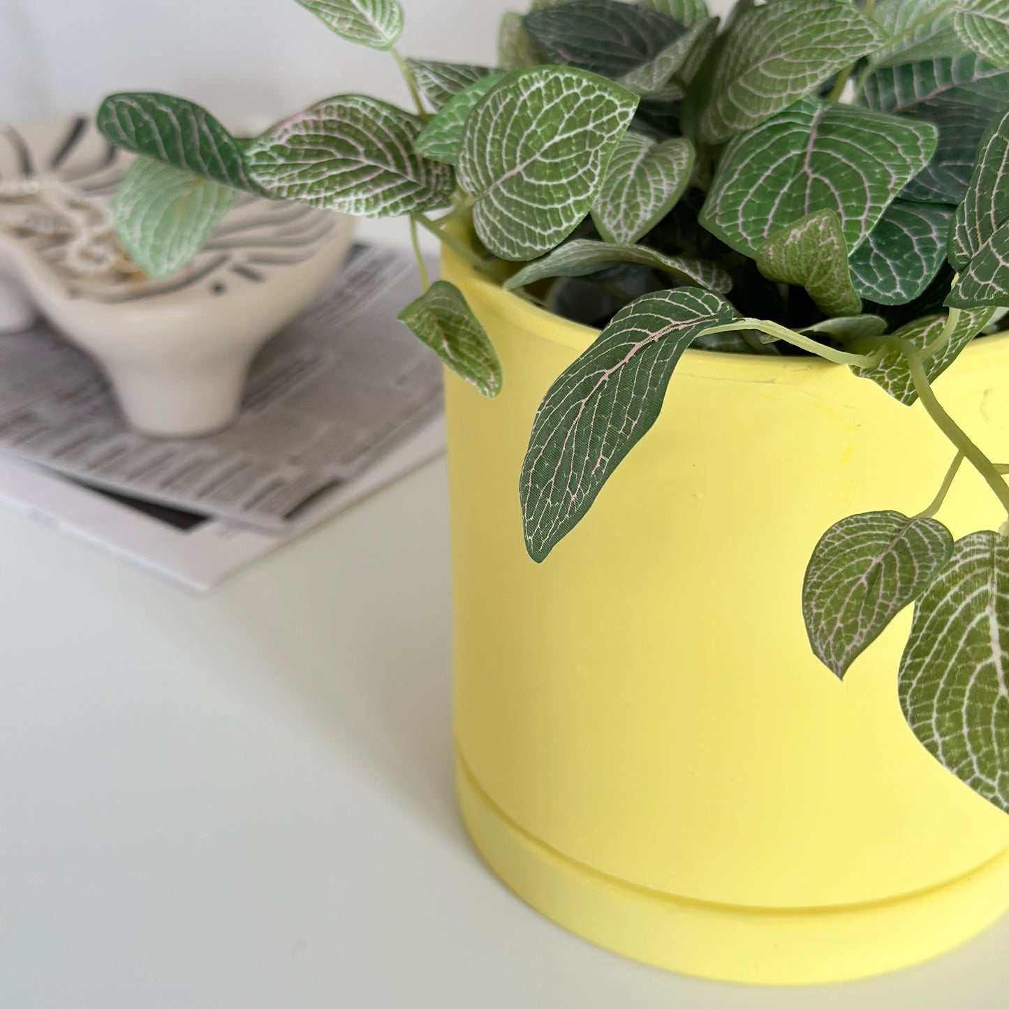 黄色のポットに植物が入っている様子