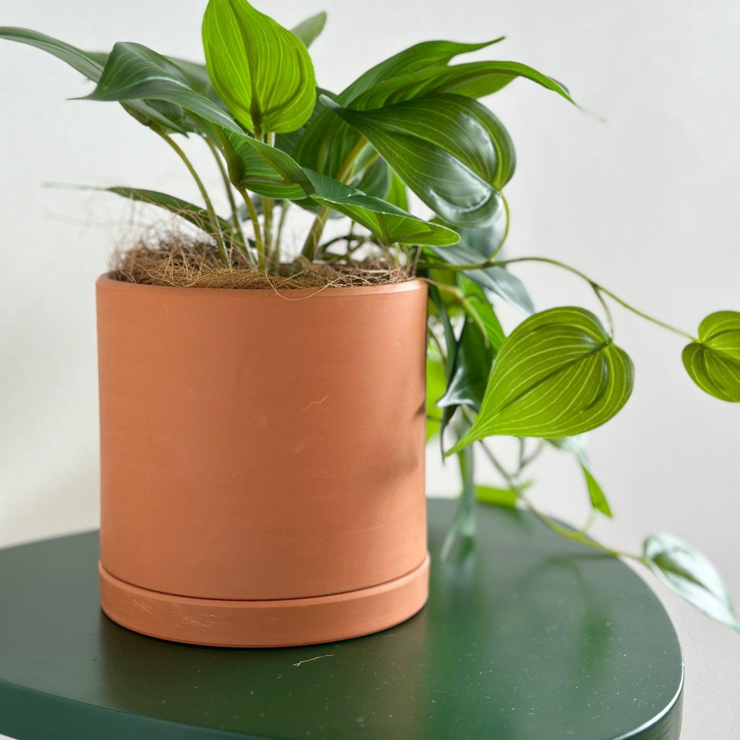 緑のスツールの上に置かれたレンガ色のポットに植物が入っている様子