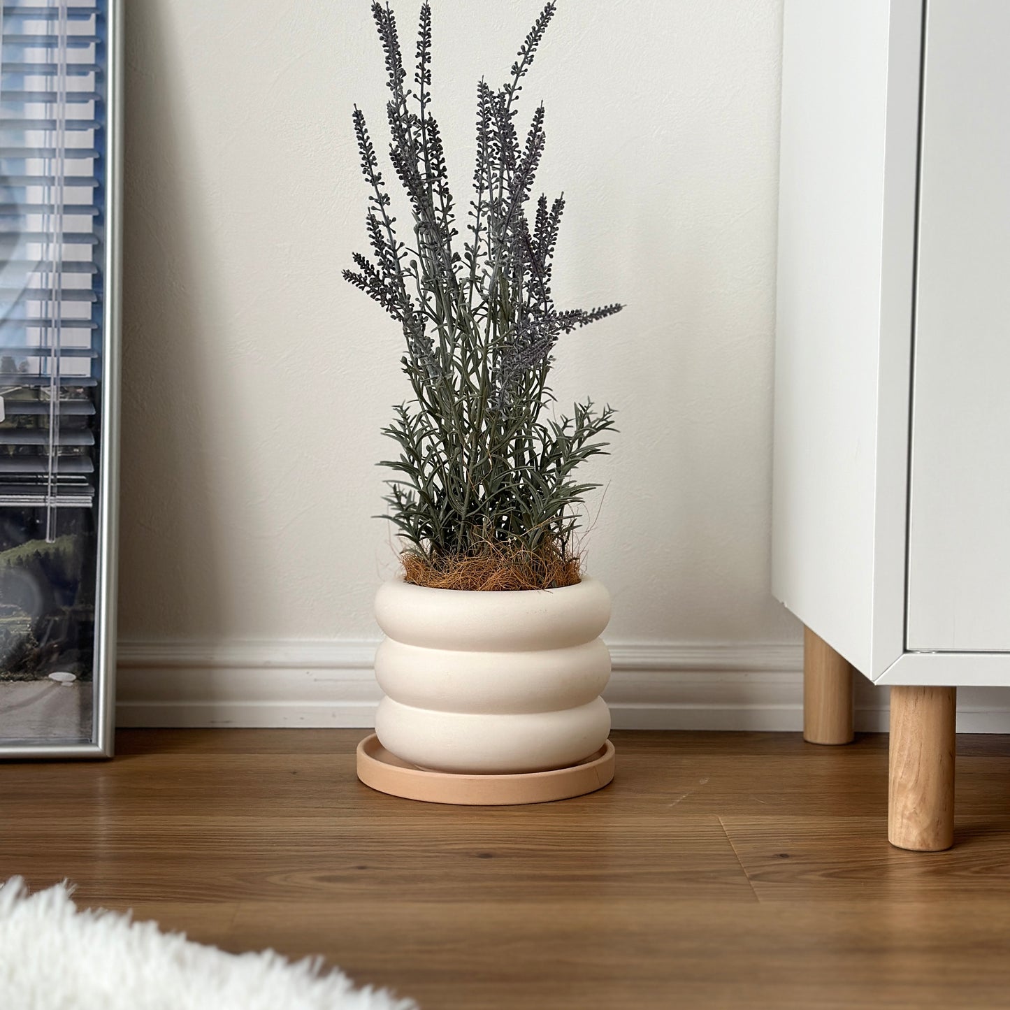 ドーナツフォルムのフラワーポットに植物が入っている様子
