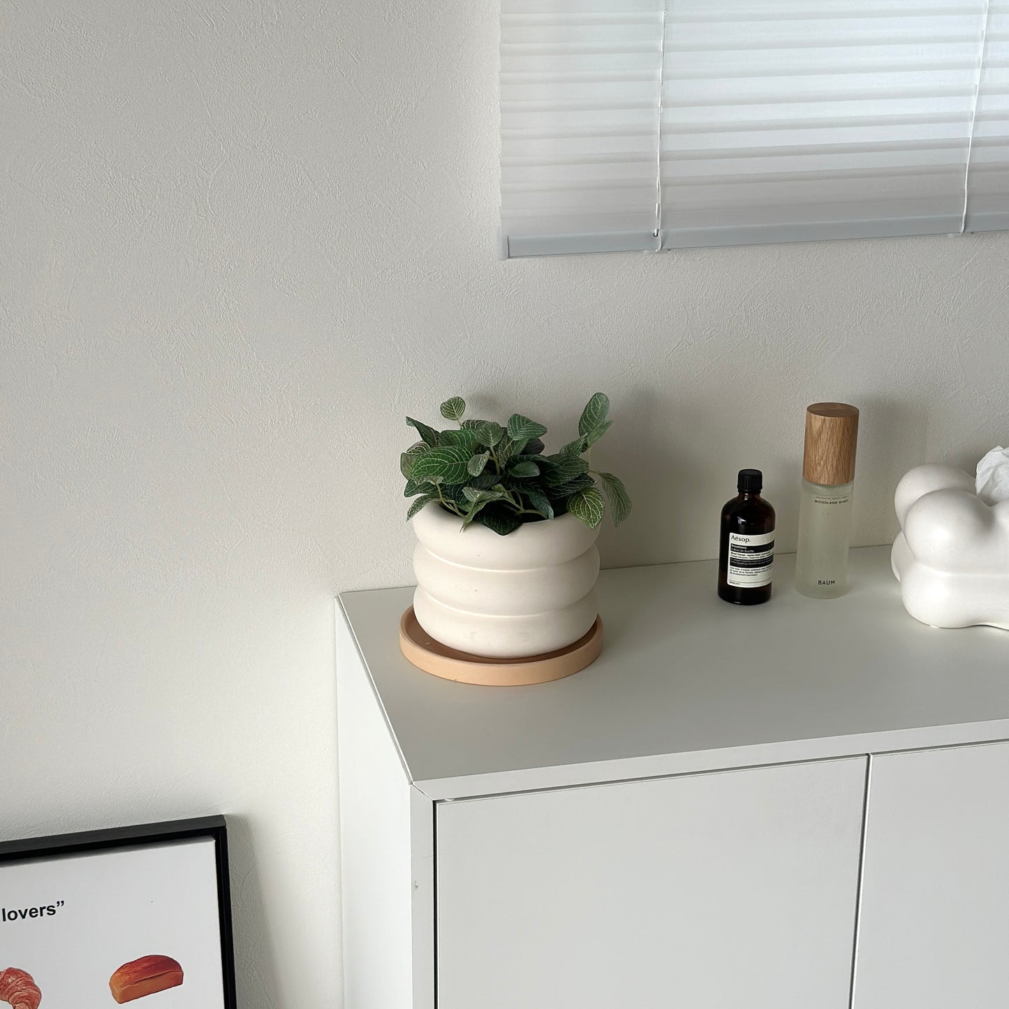 ドーナツフォルムのフラワーポットに植物が入っている様子