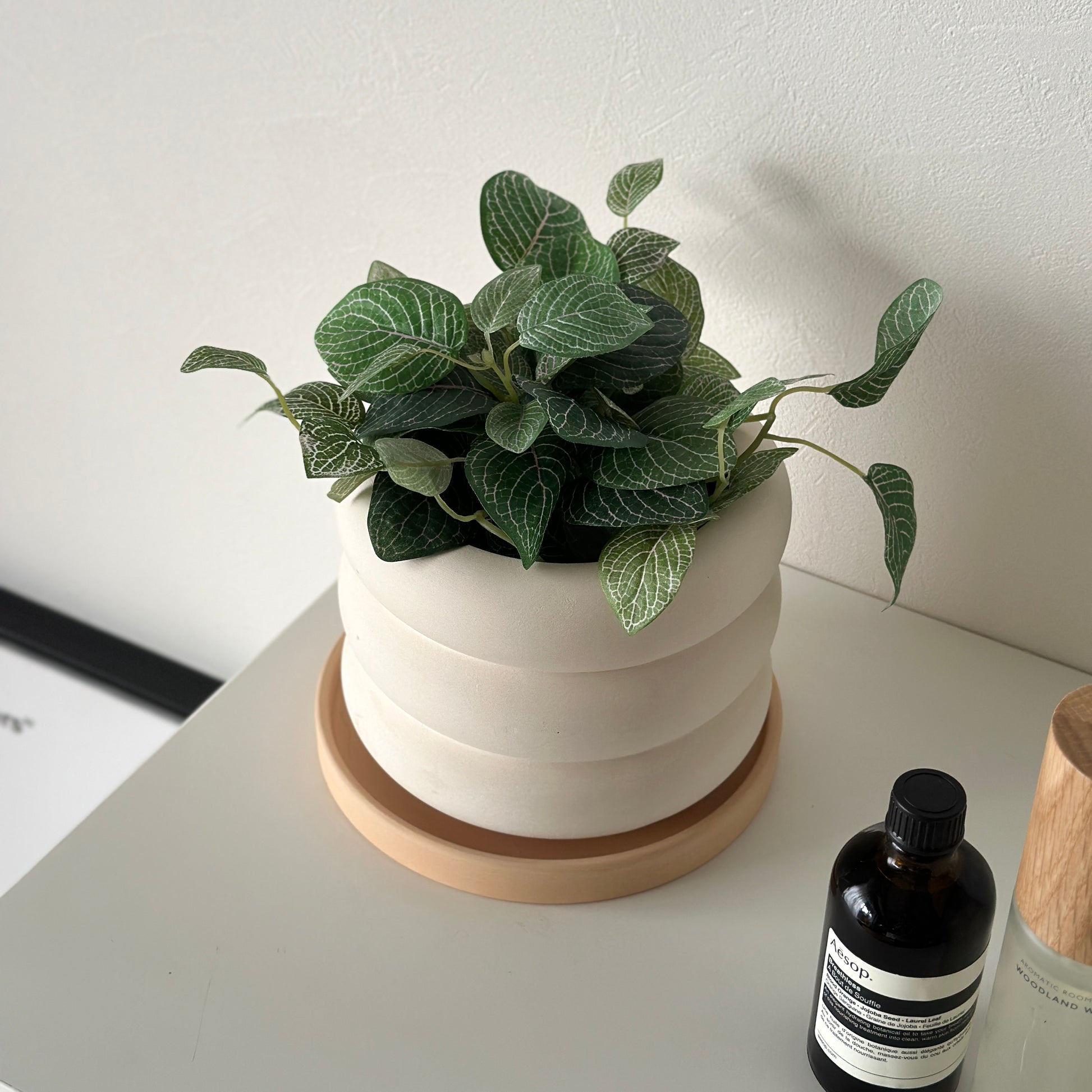 ドーナツフォルムのフラワーポットに植物が入っている様子