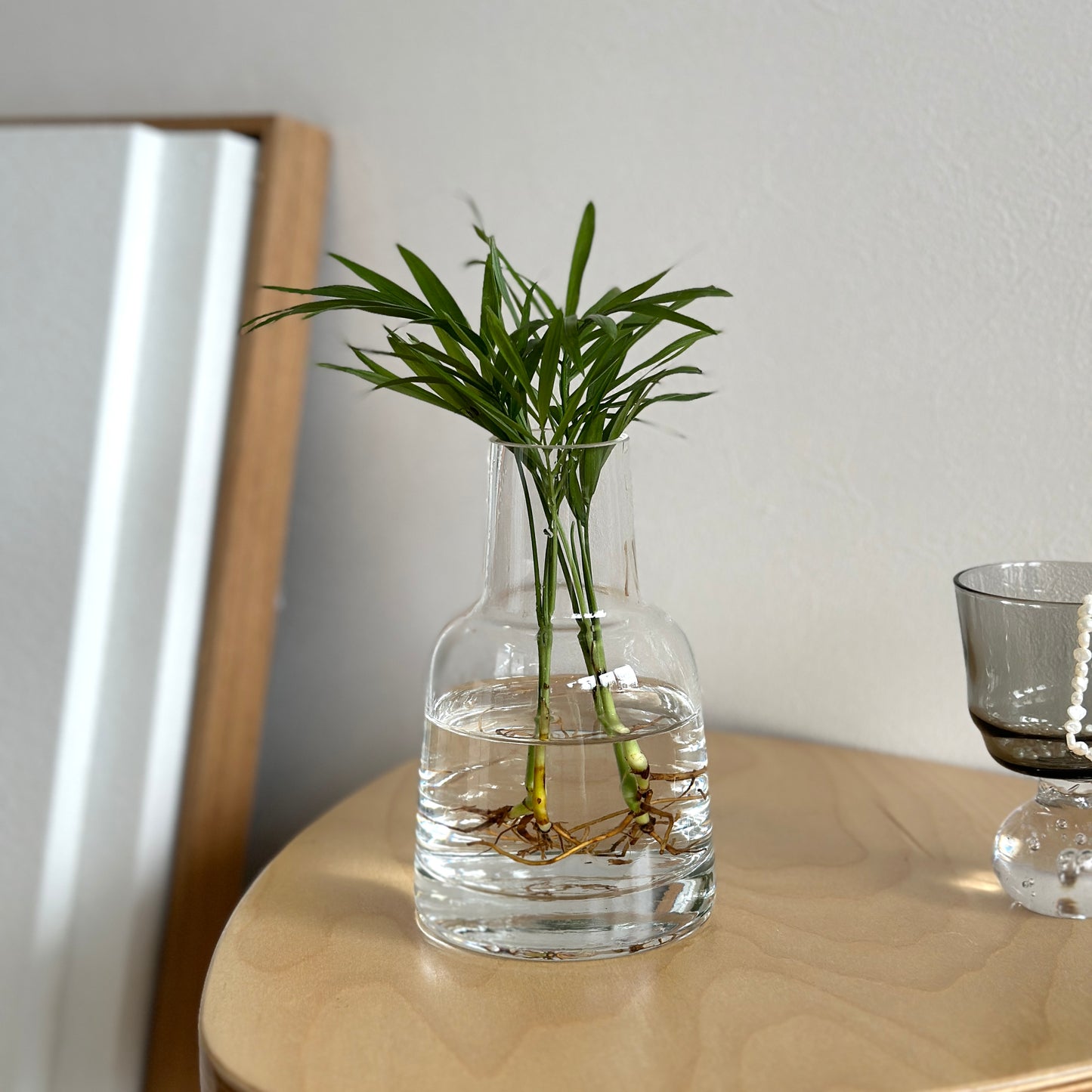 植物が飾られたベーシックな形をしたクリアのフラワーベース