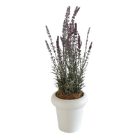 植木鉢