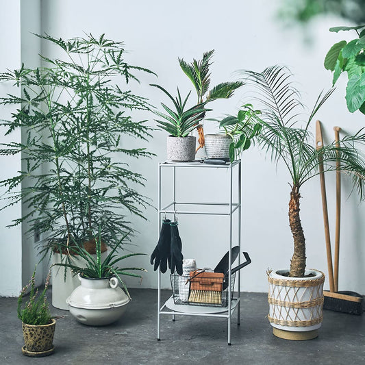 スクエアスチールラックのミニマリストな三段メタルシェルフに観葉植物と園芸用品を収納しています。