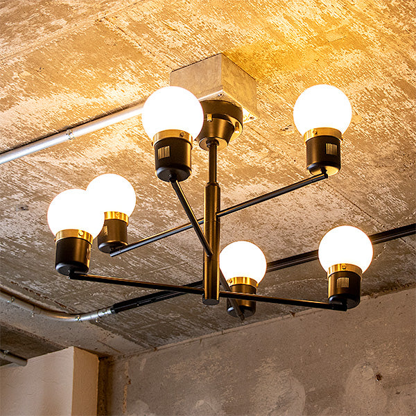 6つ電球が付いたシーリングライトがリビングの天井に設置されている