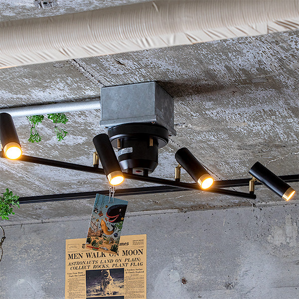 4つ電球がついたLEDシーリングライトのブラックカラーがリビングの天井に設置されている
