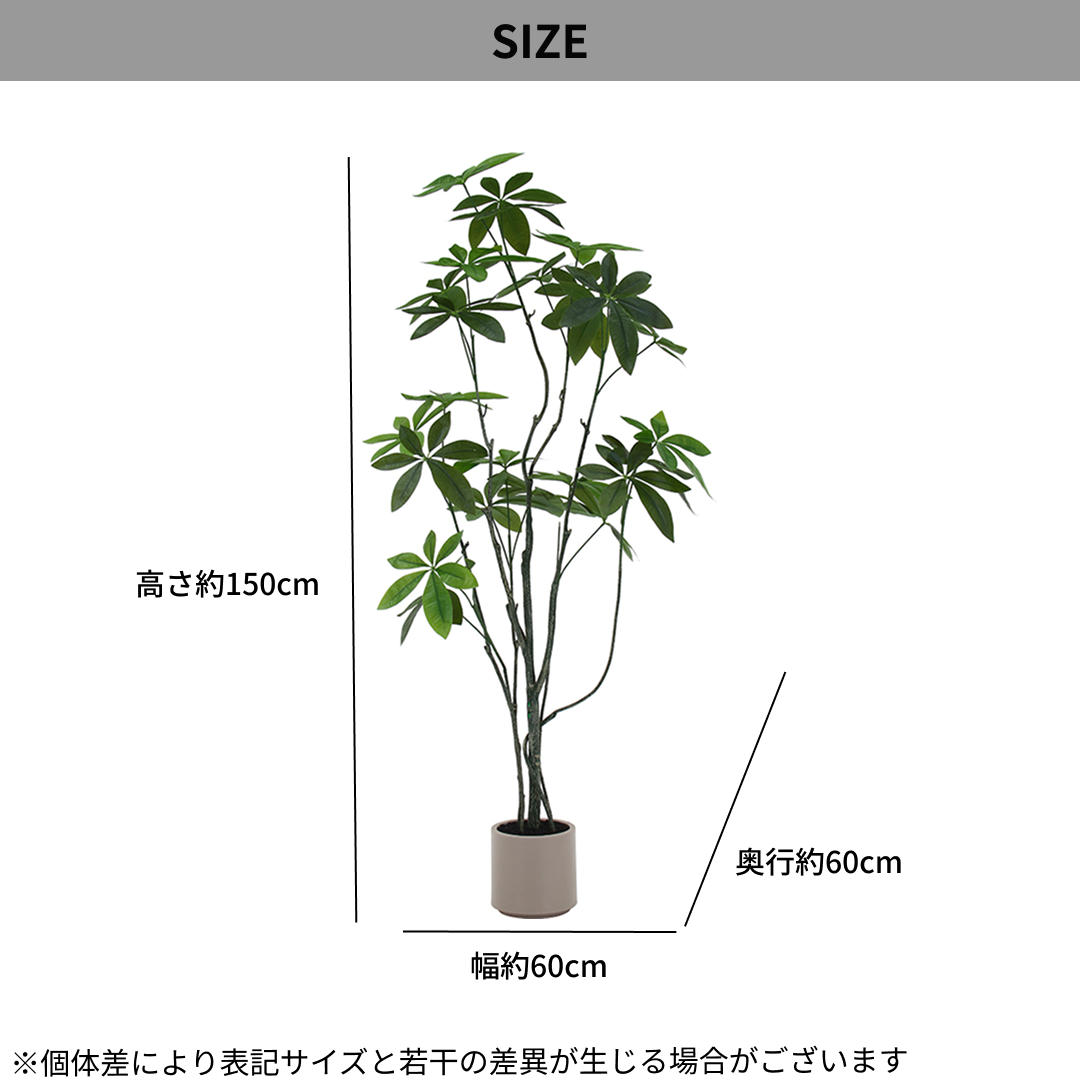 ジョイントフェイクグリーン パキラ[150㎝]