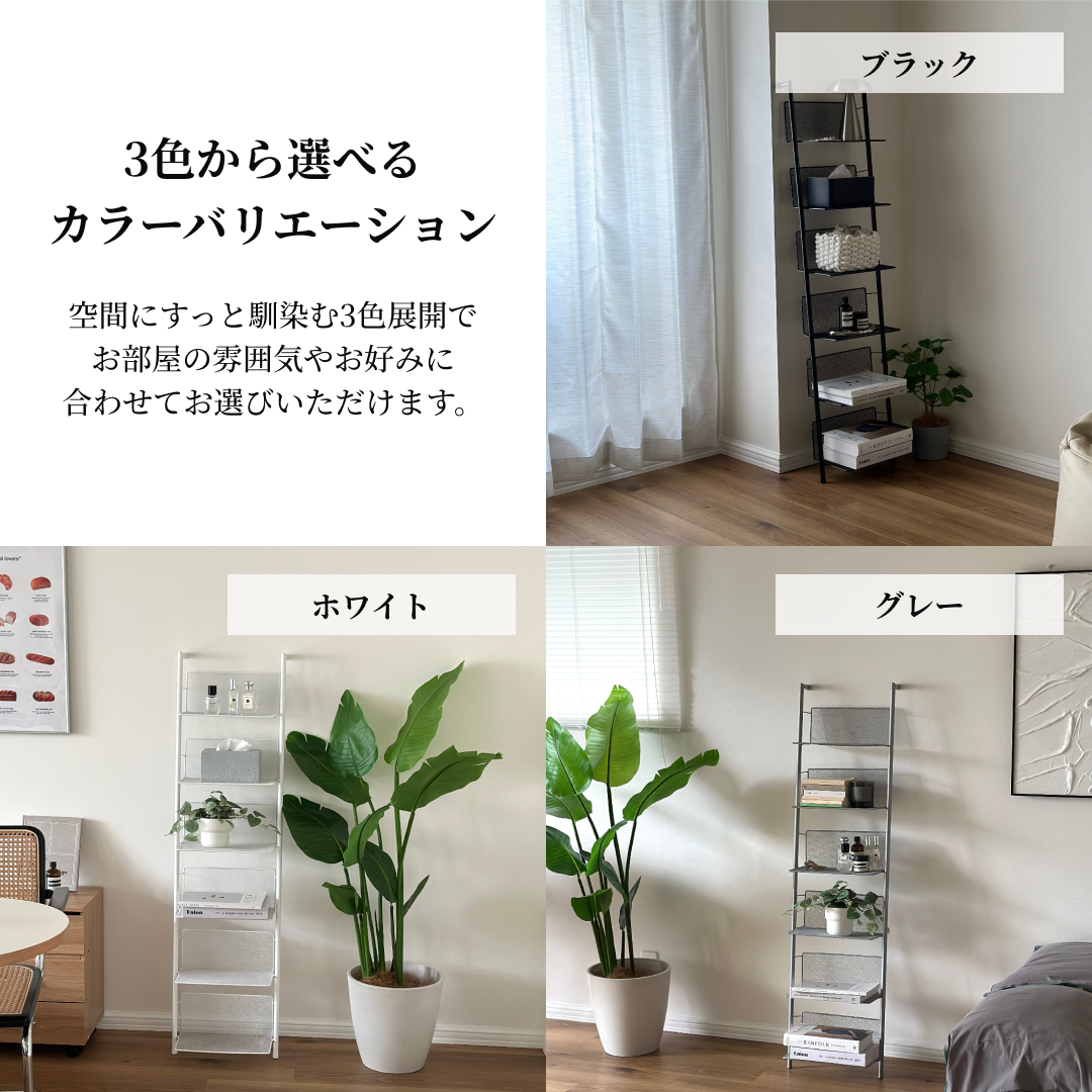 シェルフ|メッシュウォールシェルフ - territory シェルフ|メッシュウォールシェルフ - territory