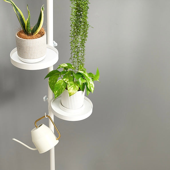 トレイ部分が丸型の突っ張りポールラックに植物が置かれている