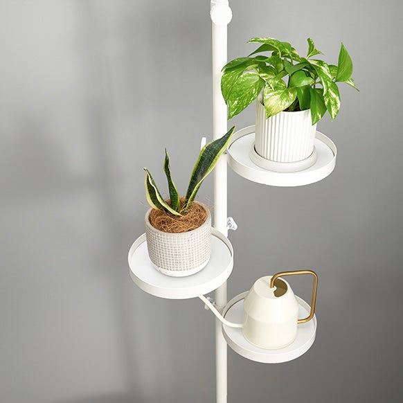 トレイ部分が丸型の突っ張りポールラックに植物やジョウロが置かれている