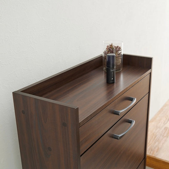 ブラウンのフラップ扉式シューズケース