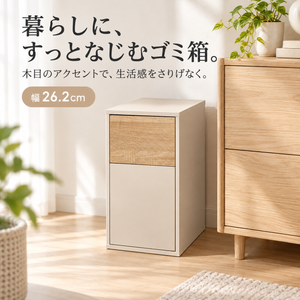 コンパクトスリムダストボックス