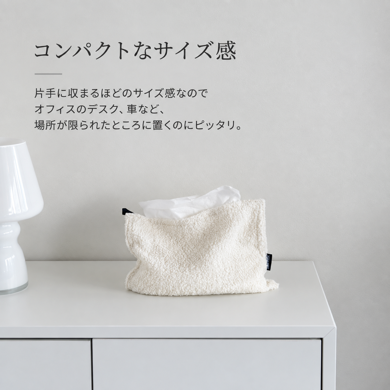 シープティッシュケース