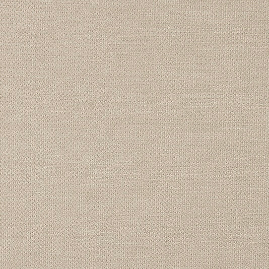 [2脚SET]天然木曲線ダイニングチェア