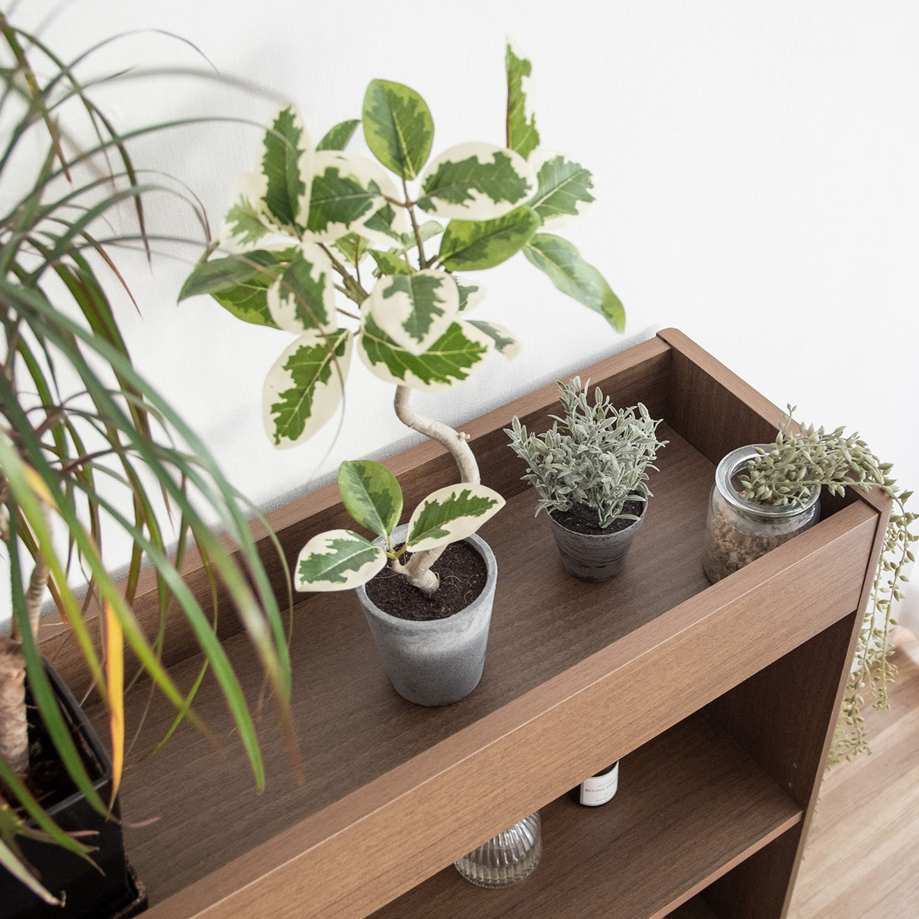 ブラウンの2段のオープンラックに植物が置かれている様子