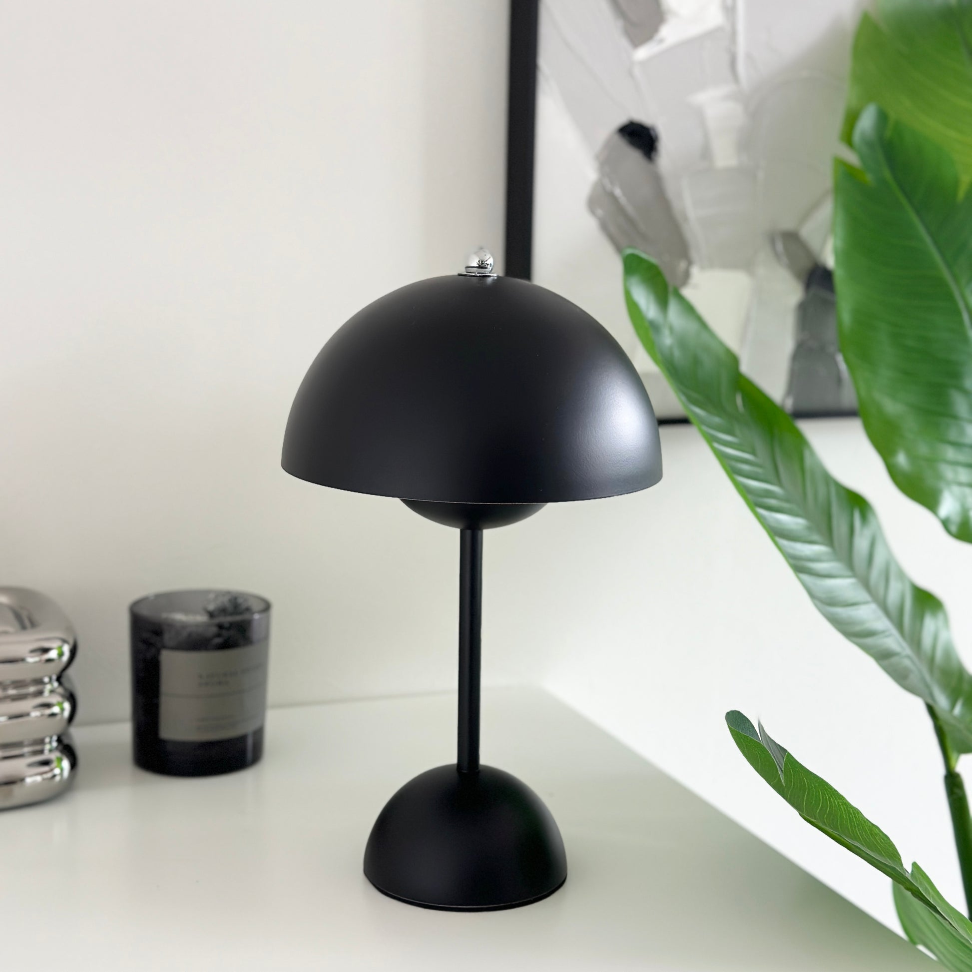 マットな質感のブラックのライトとその横に植物