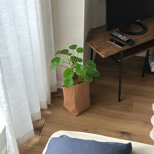シンプルな茶色のクラフトペーパーの中で植物が飾られている様子