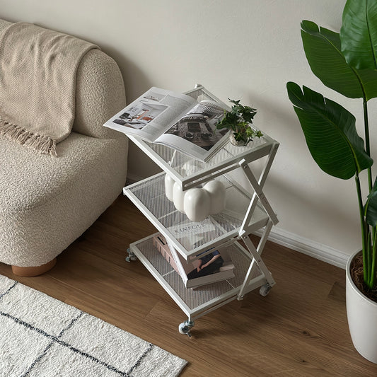 白のメッシュスチールの3段ラックの一番上には植物と雑誌、二番目にはティッシュケース、三番目には雑誌が置かれてある。
