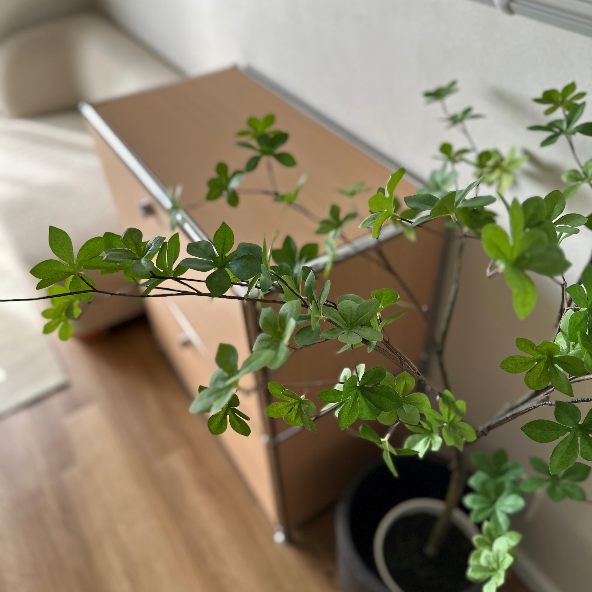 フェイクグリーンのドウダンツツジ、光沢のある緑の葉と細い枝が特徴の観葉植物です。
