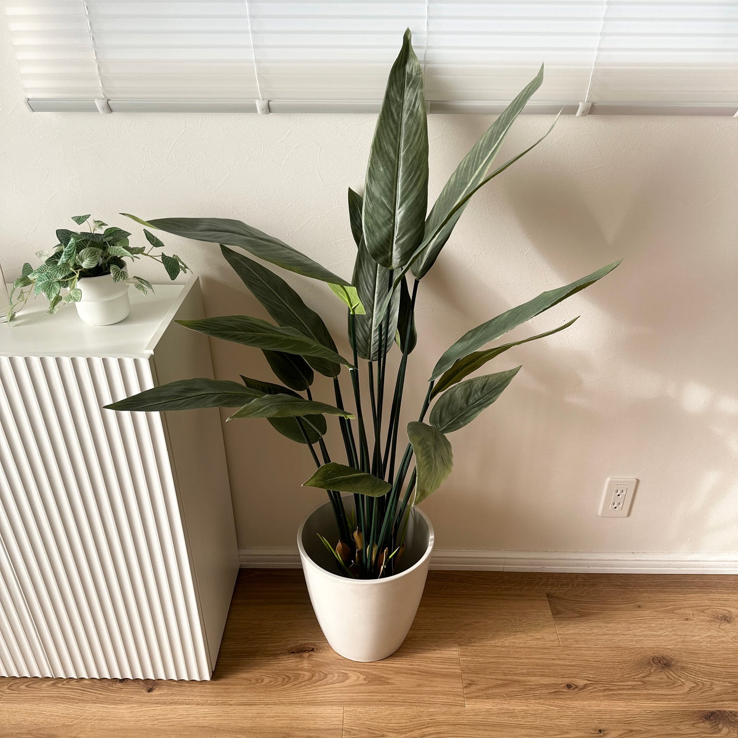 フェイクグリーンのストレリチアで、葉が広く長い緑色の植物が白い陶器の鉢に入っている