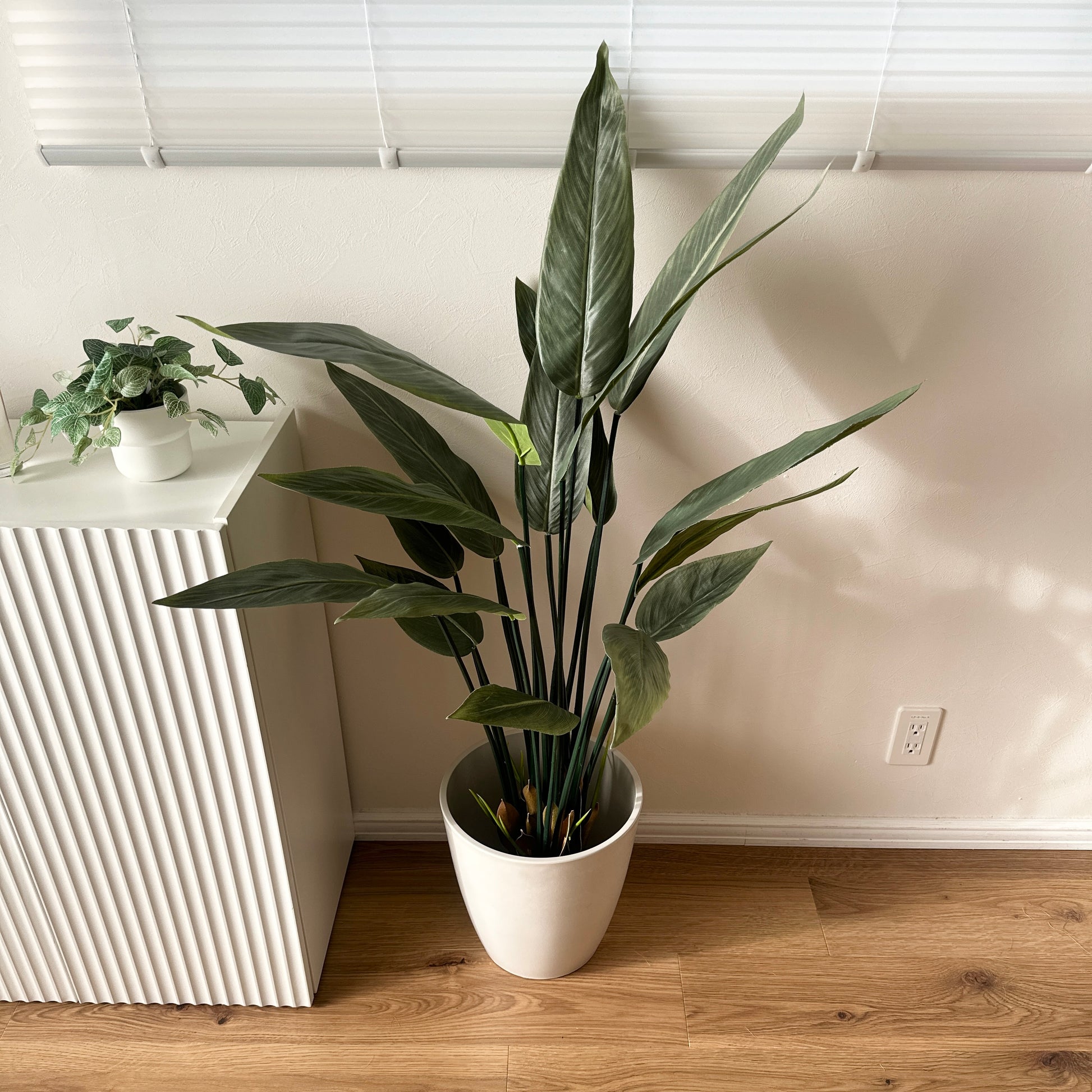 フェイクグリーンのストレリチアで、葉が広く長い緑色の植物が白い陶器の鉢に入っている