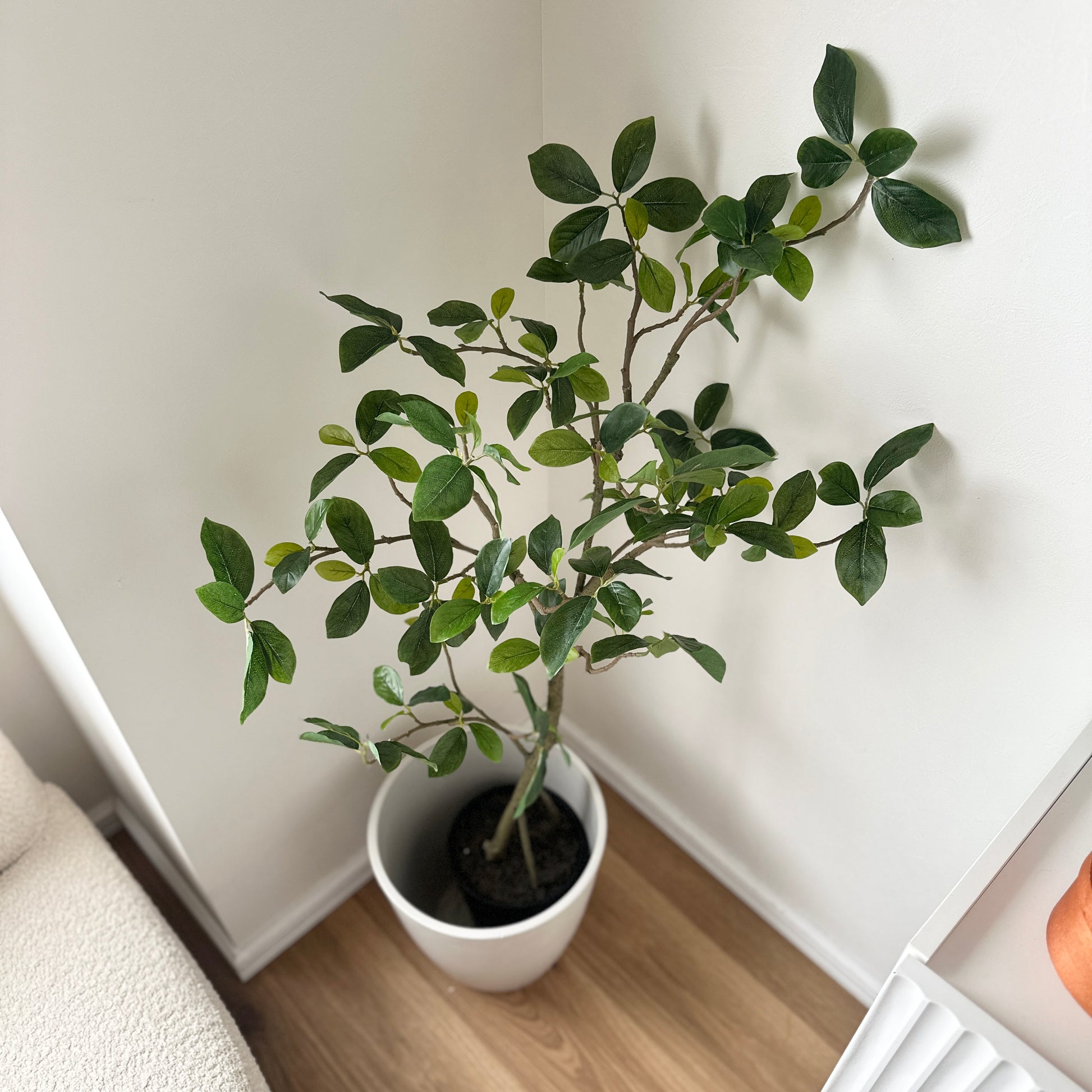 フェイクグリーンガジュマルの白いセラミック鉢に入った緑の葉と細い茶色の茎の人工植物です。