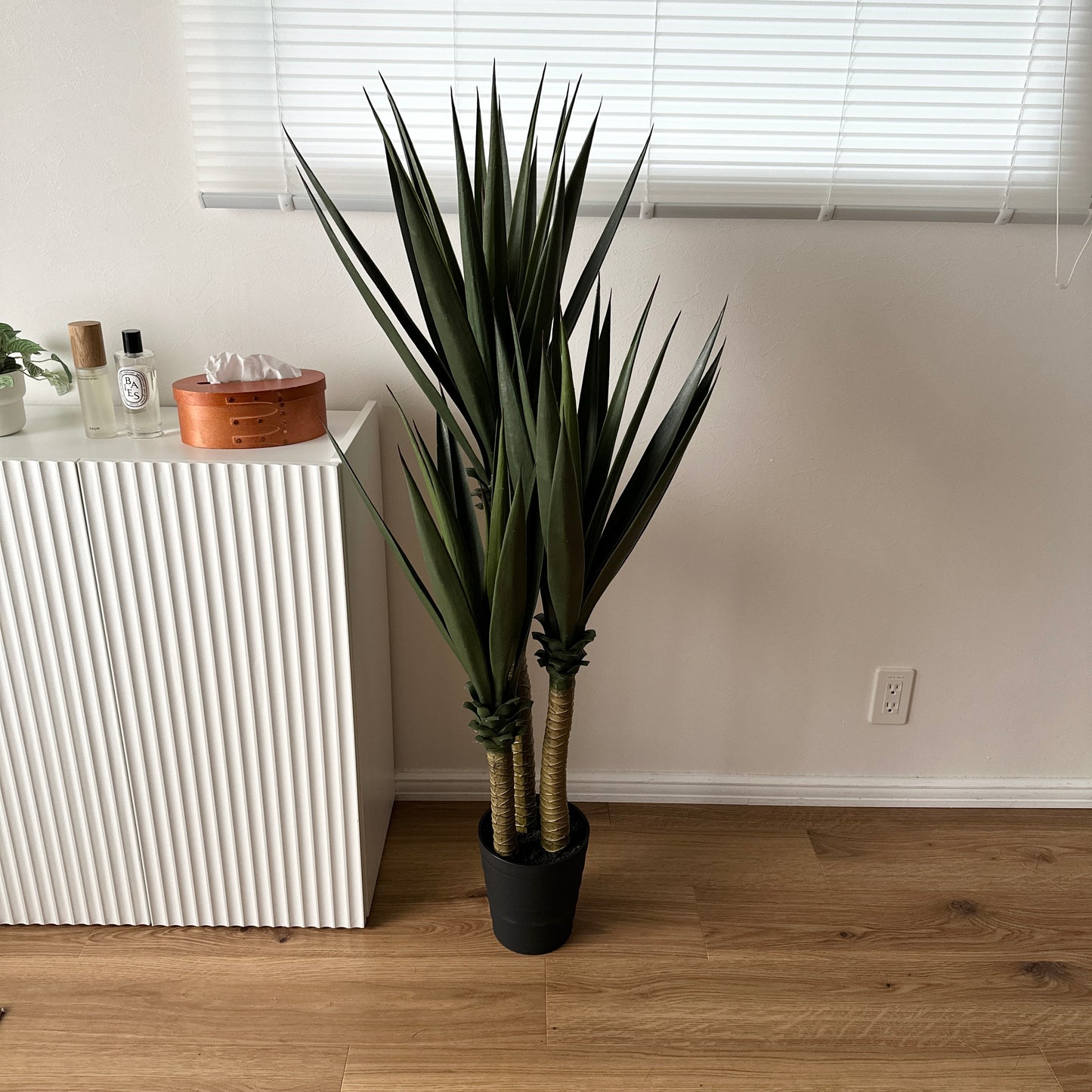 フェイクグリーンのユッカ植物、高くて濃い緑のとげとげした葉が黒い鉢に入っている