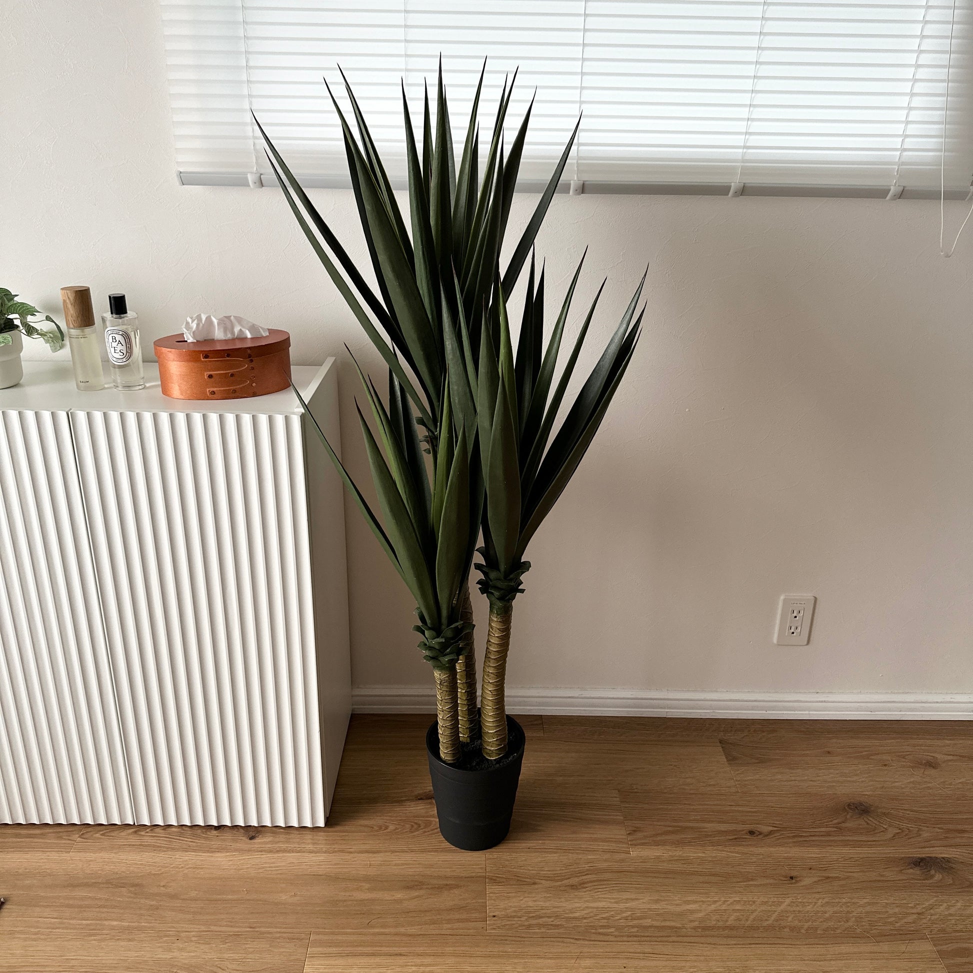 フェイクグリーンのユッカ植物、高くて濃い緑のとげとげした葉が黒い鉢に入っている