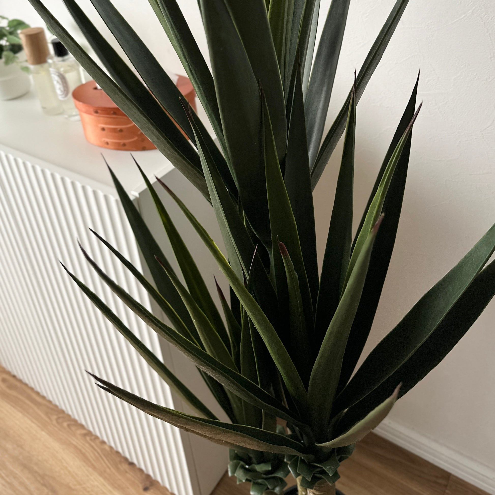 フェイクグリーンのユッカで濃い緑色の長く尖った葉が中央から放射状に広がる植物です。