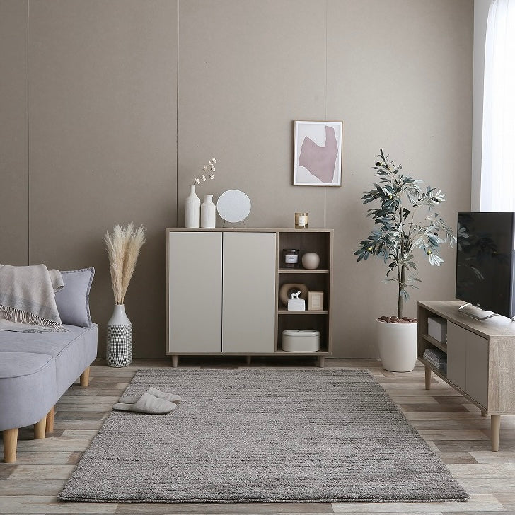 扉開きタイプのキャビネット　