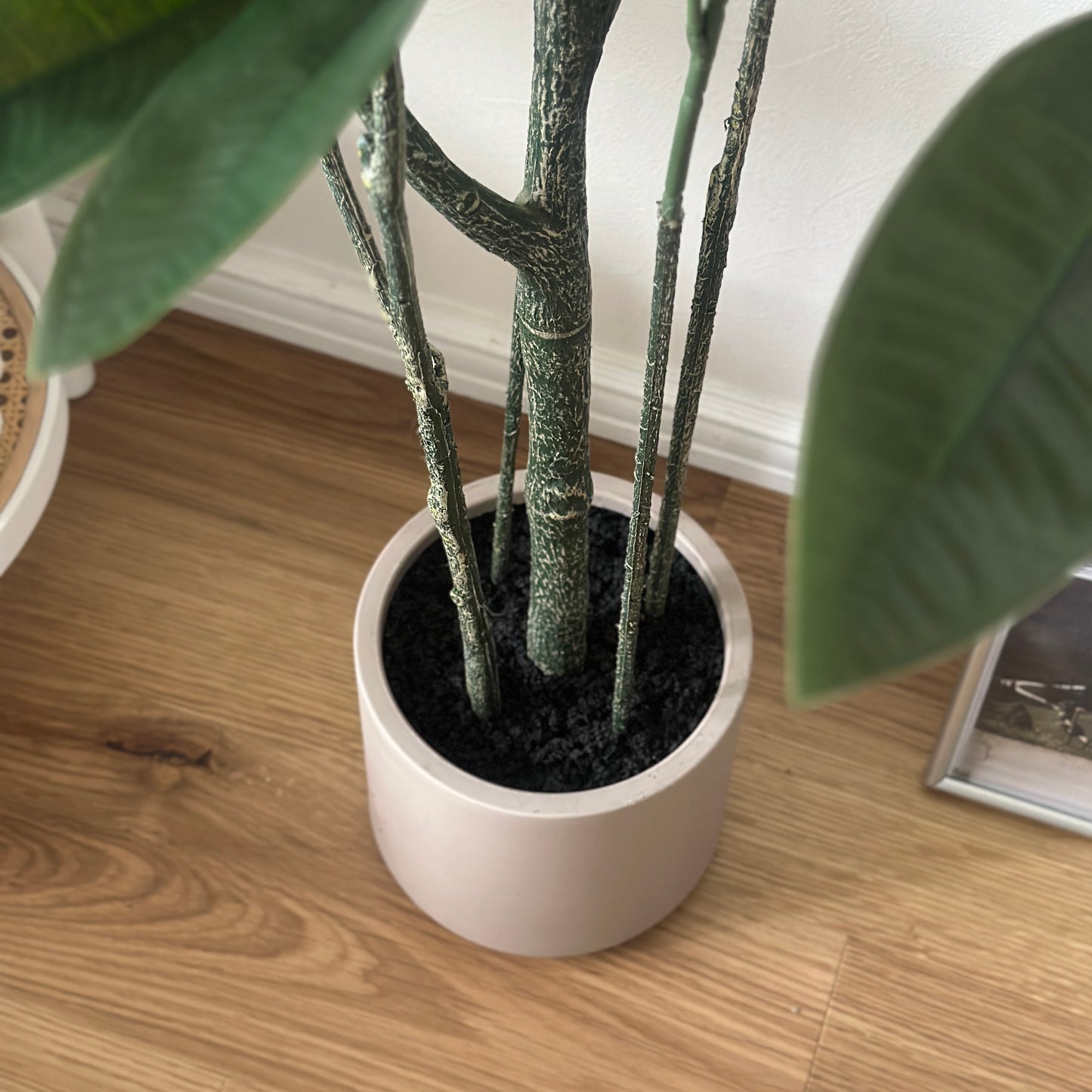 パキラのフェイクグリーンのポット部分