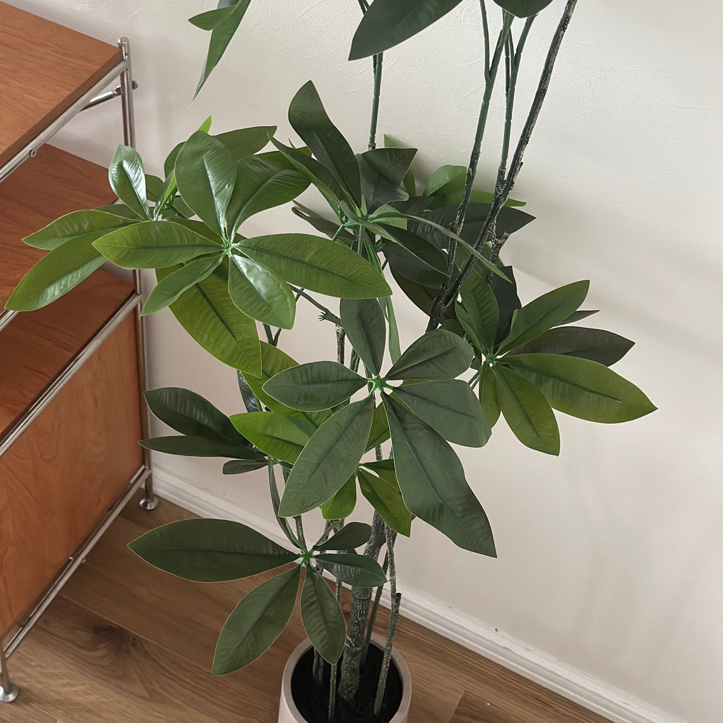 パキラのフェイクグリーン