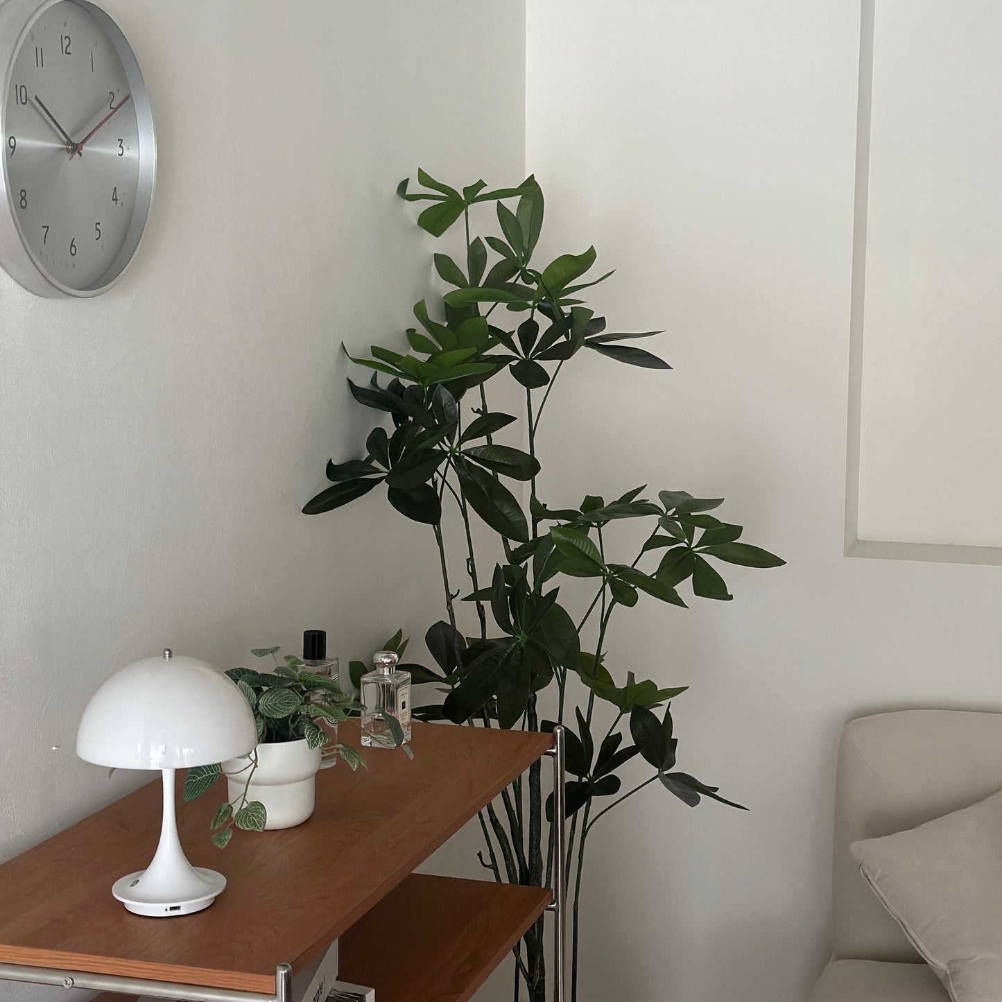 パキラのフェイクグリーン