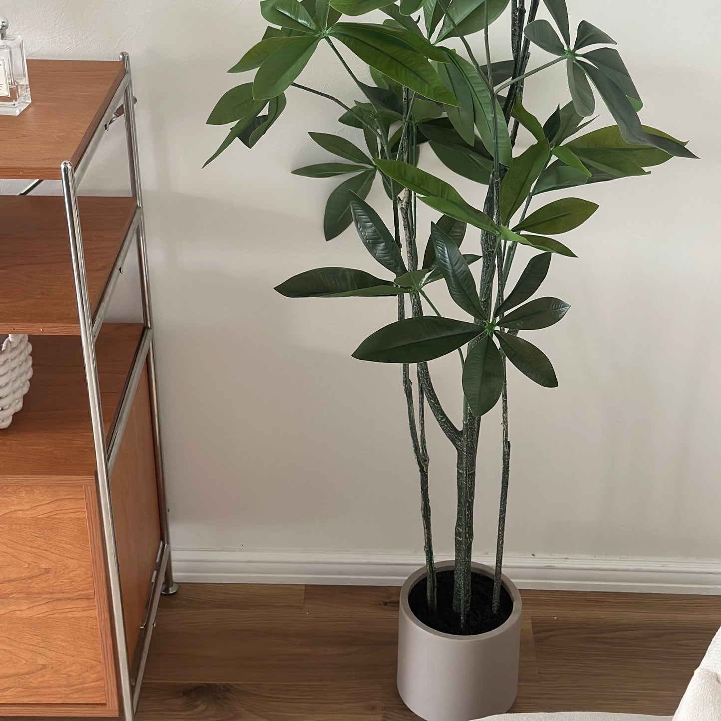 パキラのフェイクグリーン