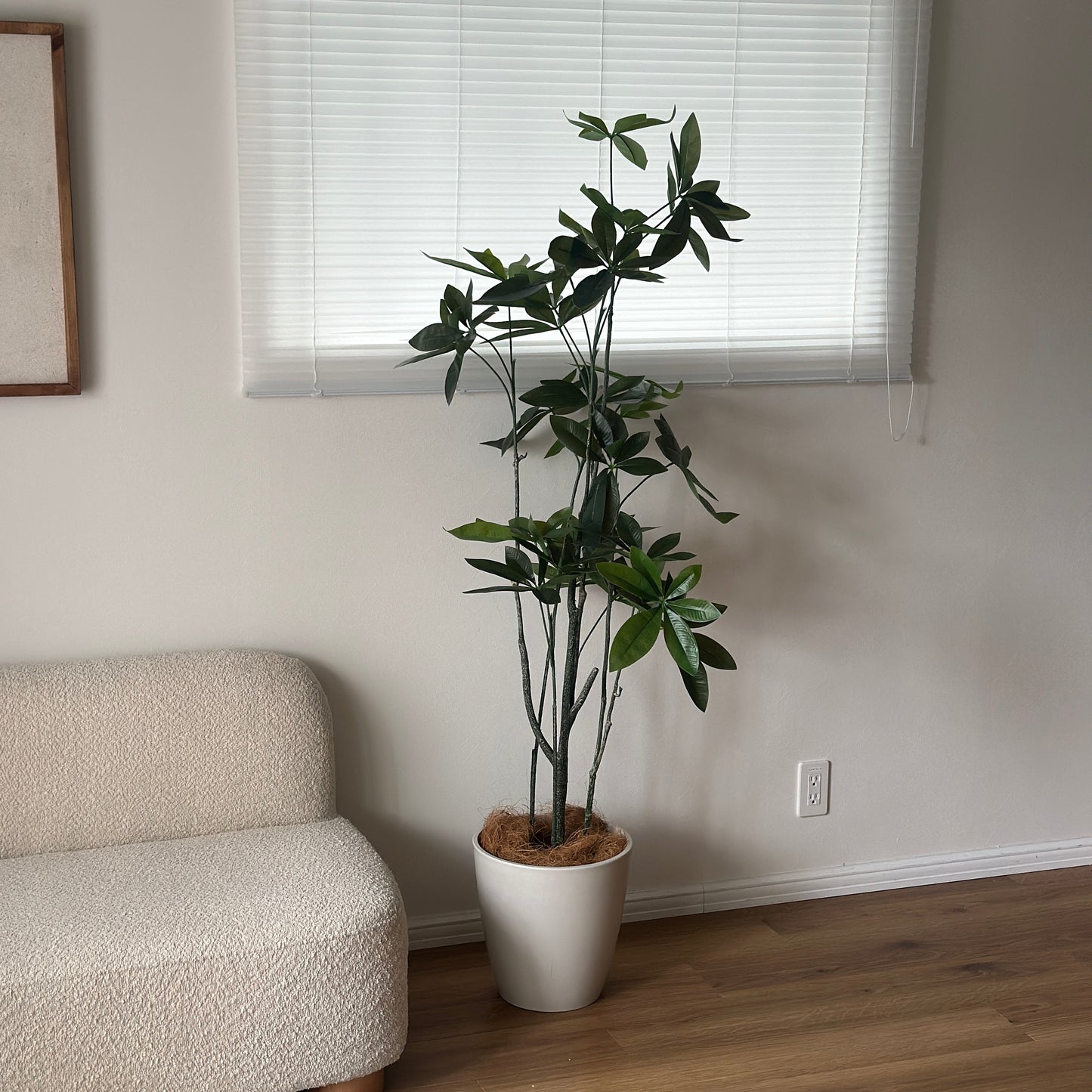 パキラのフェイクグリーンをソファ横に置いている様子