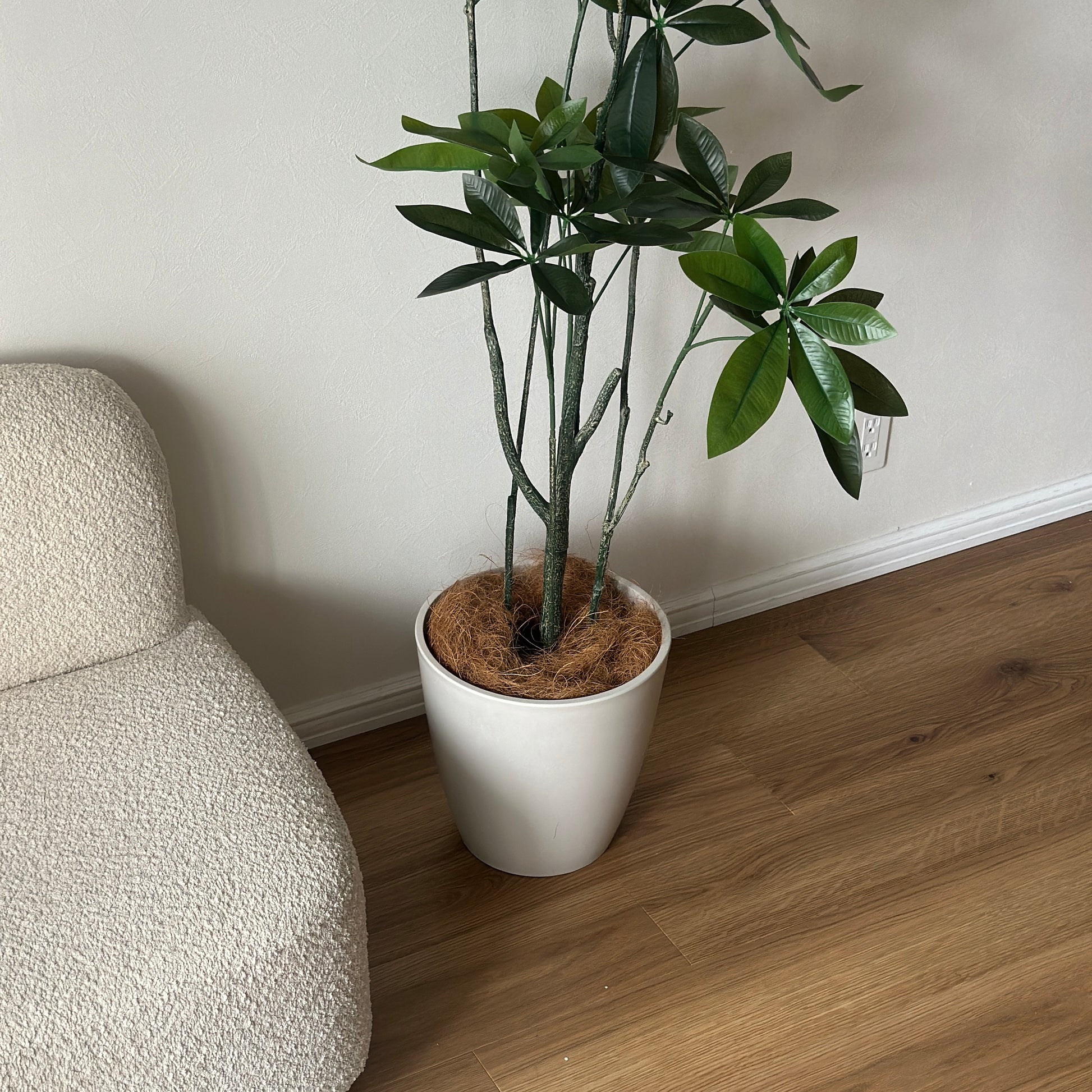 パキラのフェイクグリーン