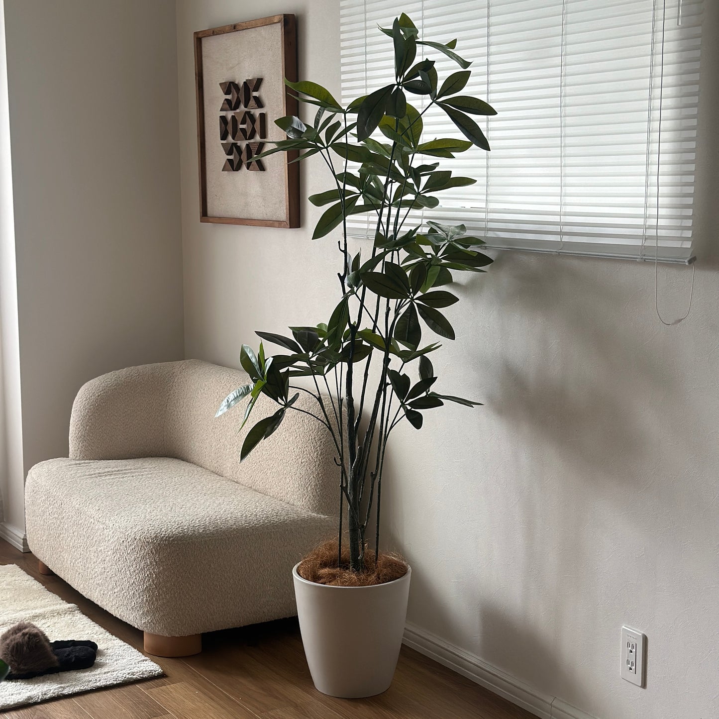 パキラのフェイクグリーンをソファ横に置いている様子