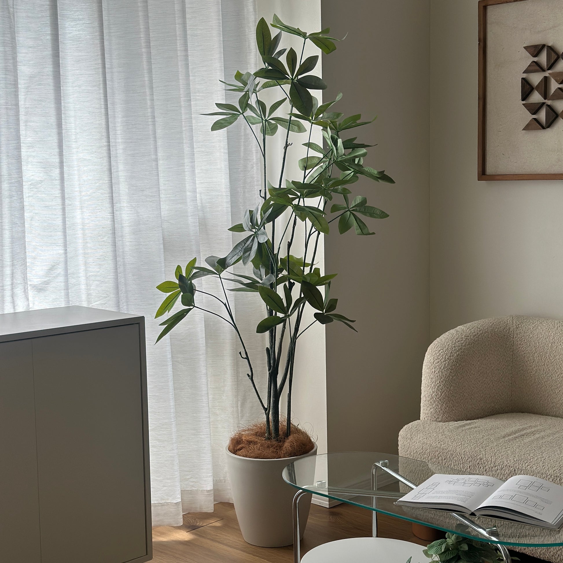 パキラのフェイクグリーンを窓の側に置いている様子