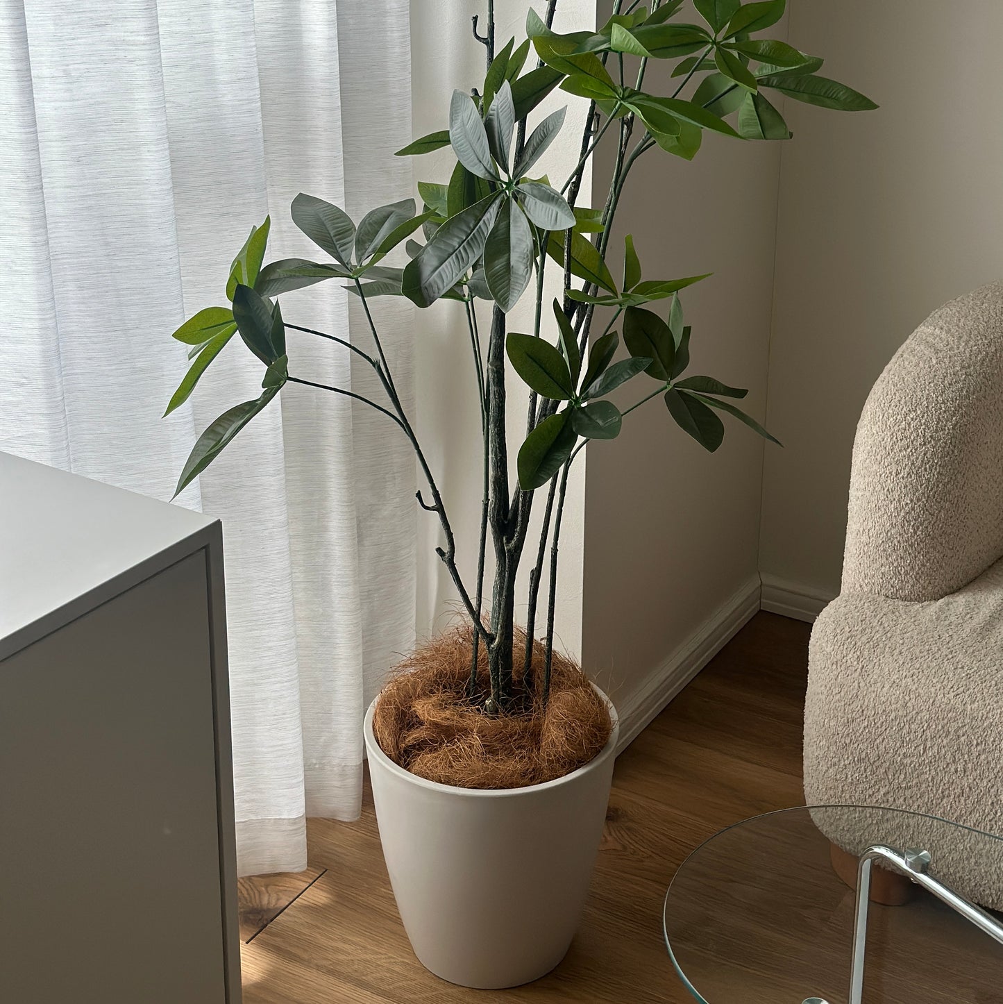 パキラのフェイクグリーンを窓の側に置いている様子