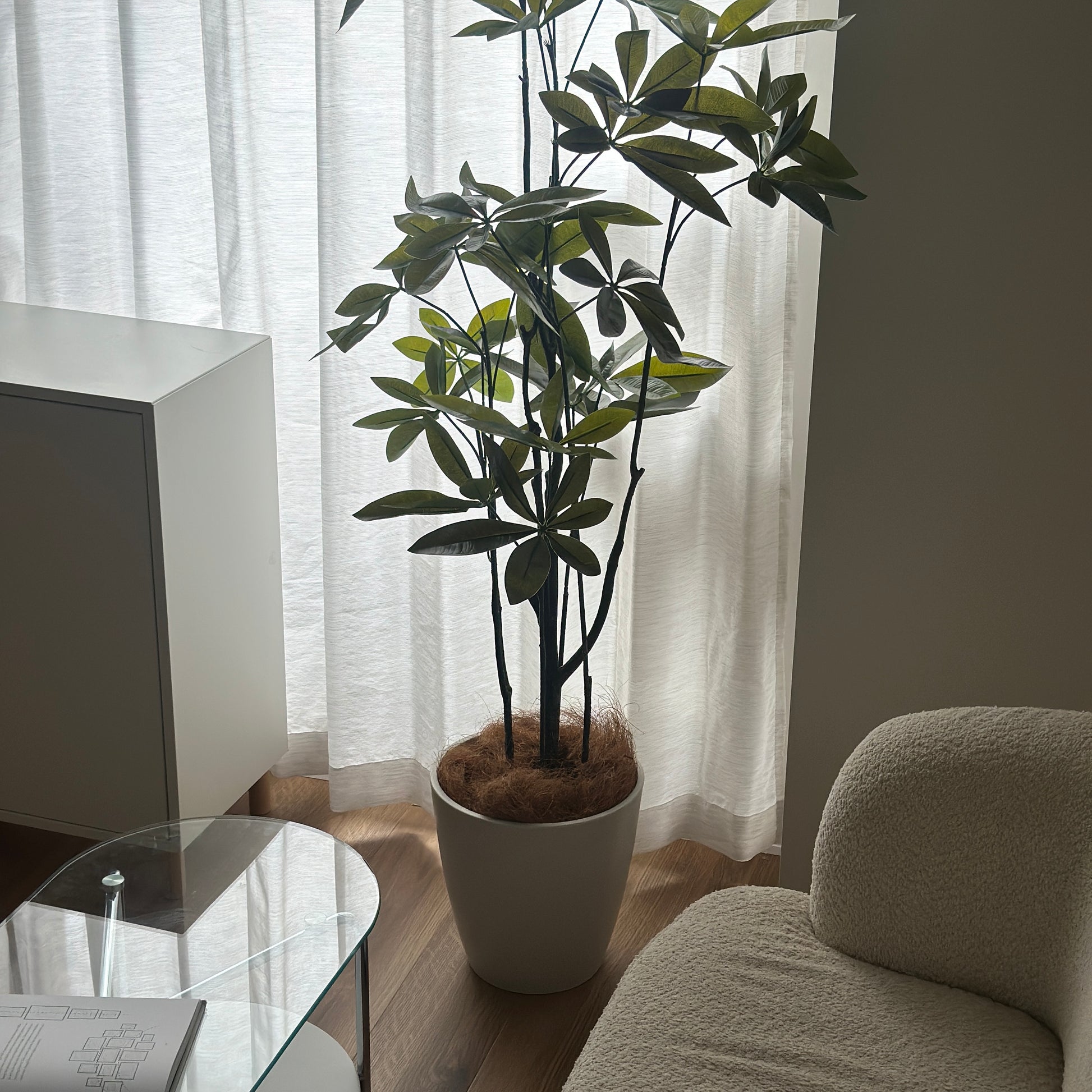 パキラのフェイクグリーンをソファの側に置いている様子