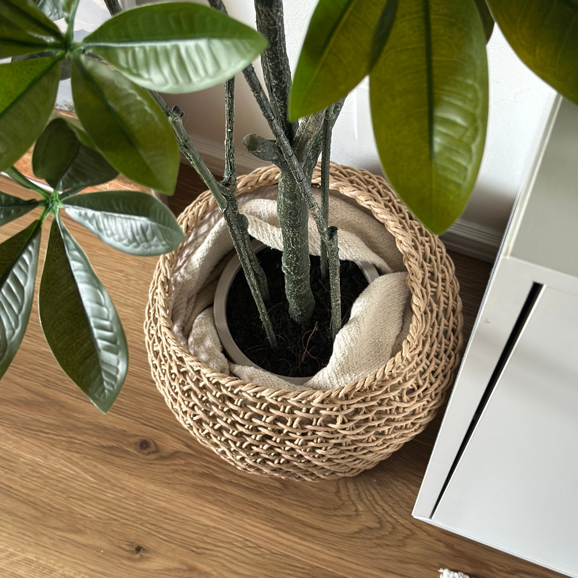 ラウンドのペーパーコードバスケットに観葉植物の植木鉢部分を入れている様子