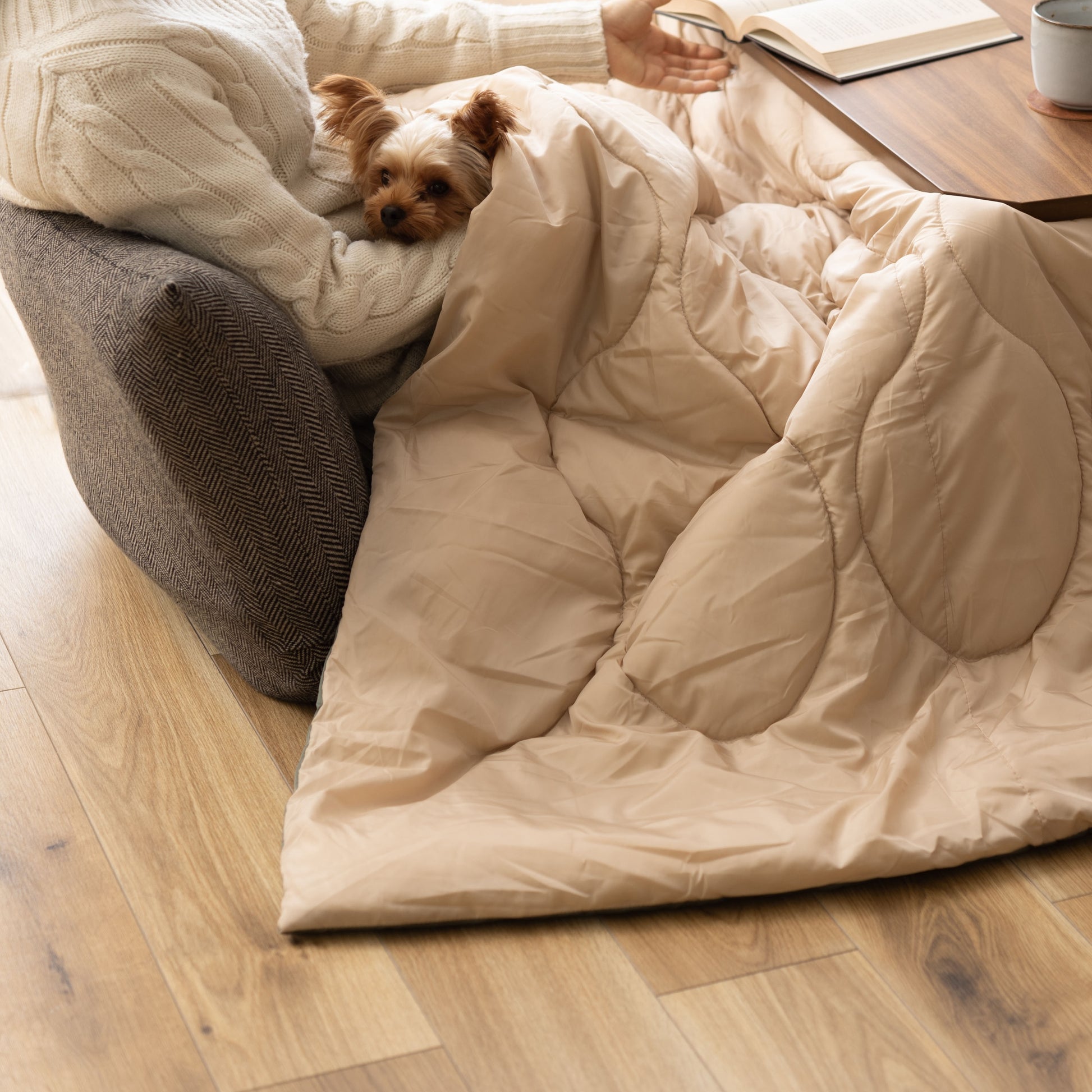 オフホワイトのキルティング素材のこたつ布団を挟んだこたつに人と犬が入っている様子