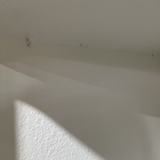 ディスプレイコーナーシェルフ