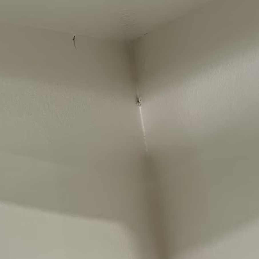 ディスプレイコーナーシェルフ