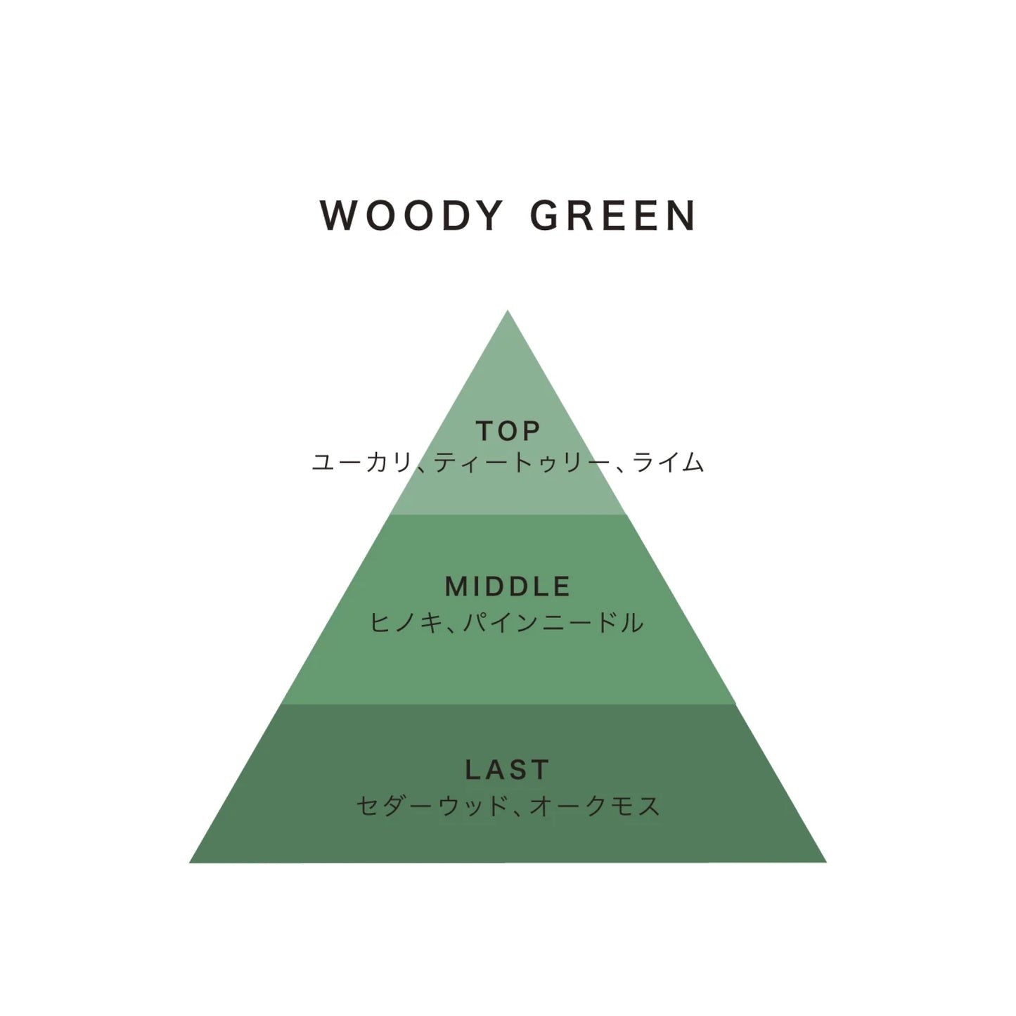 ウッディーグリーンに配合されている精油を可視化した図