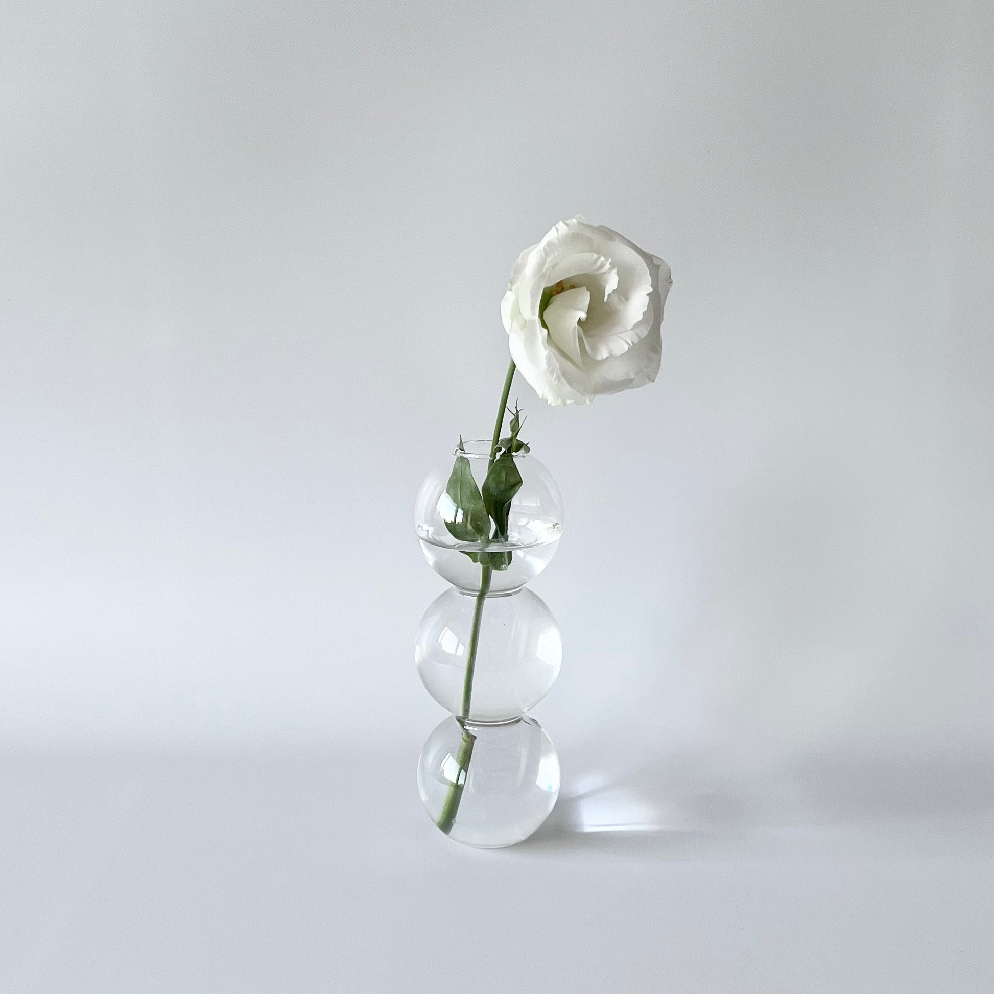 フラワーベース|3連バブルベース - territory フラワーベース|3連バブルベース - territory